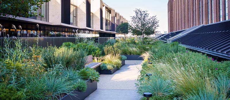 Switch House West Roof Gardens at Battersea Power Station